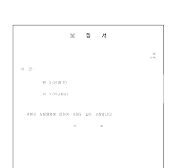 보정서 (2) 보정서 (2)